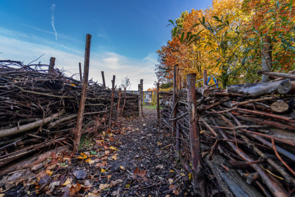Kita_Rappelzappel_20211028_029